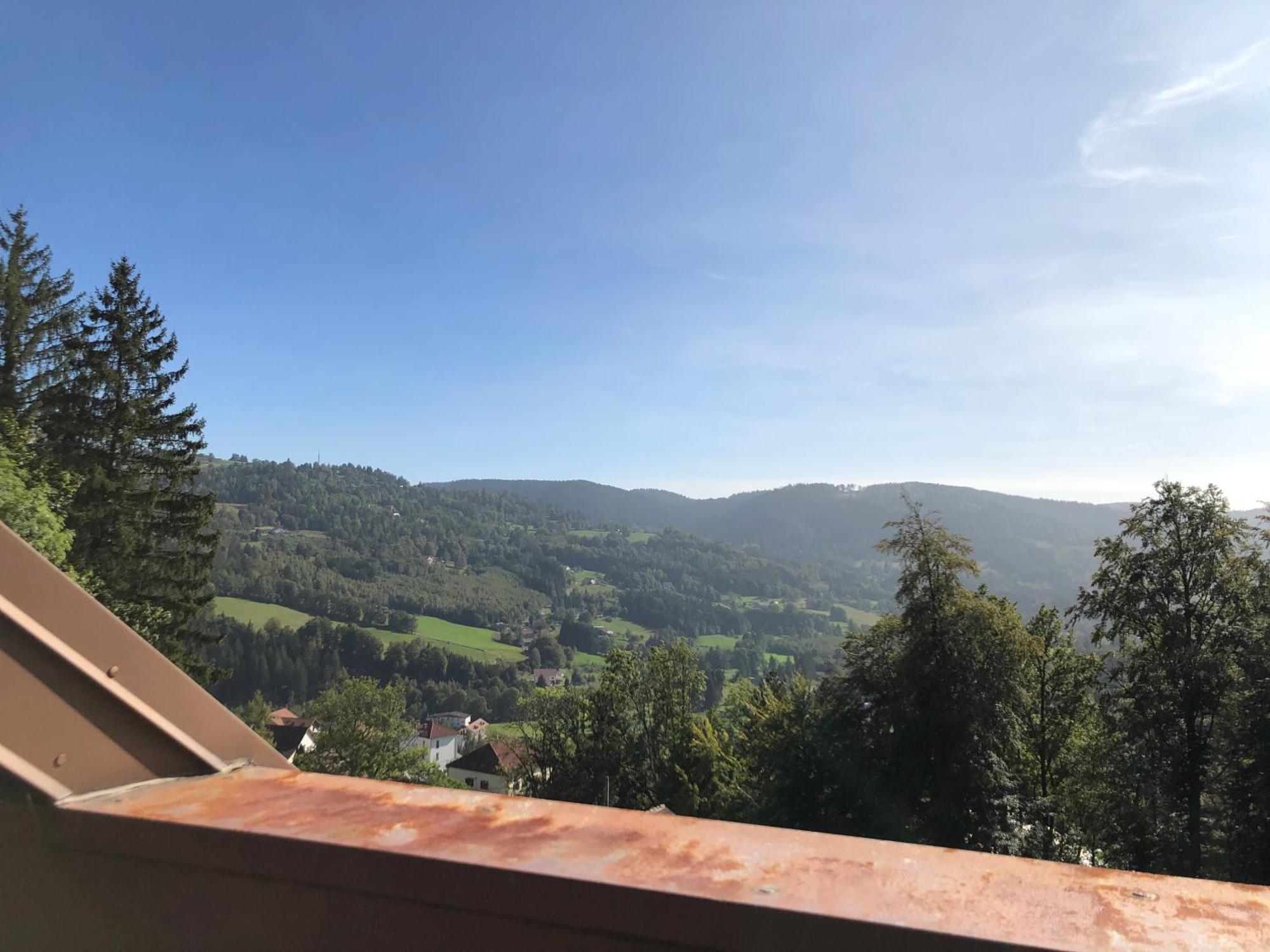 Duplex - Proche De Gerardmer Le Tholy Exterior photo